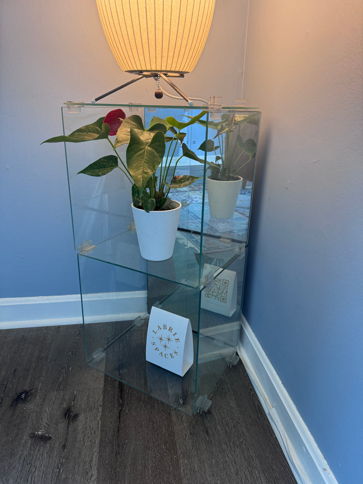 Vintage Glass Display Shelf