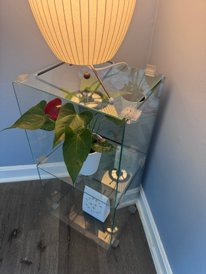 Vintage Glass Display Shelf