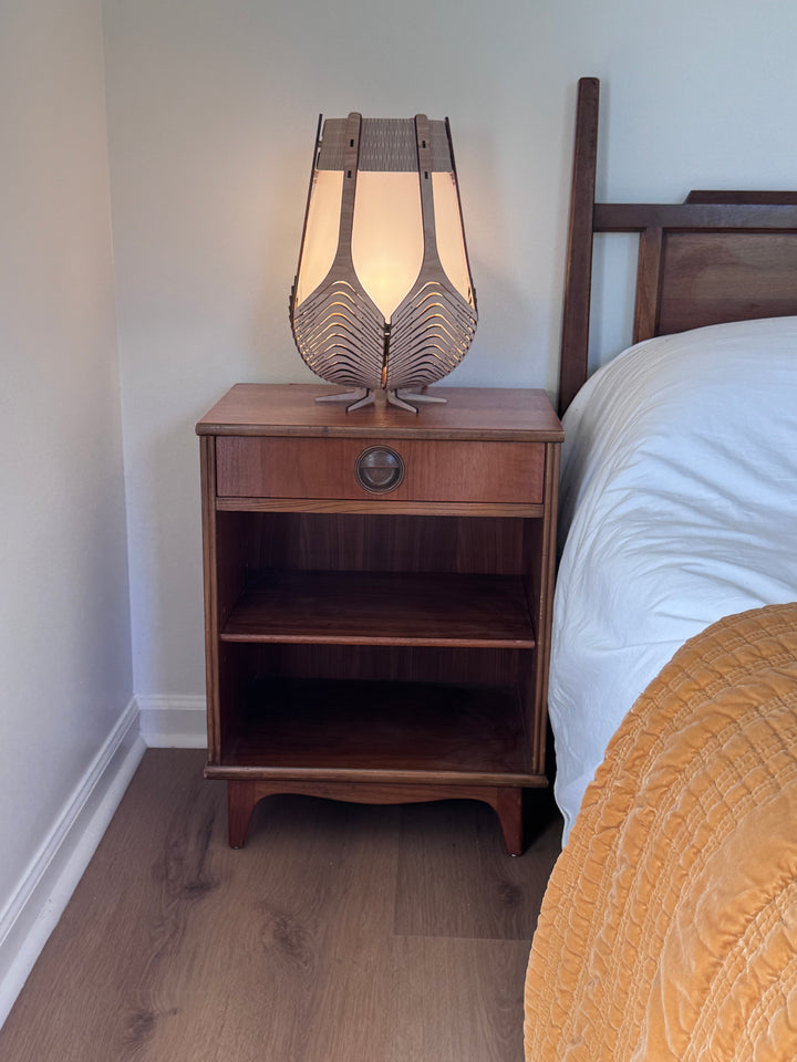 Pair of Mid-Century Modern Nightstands